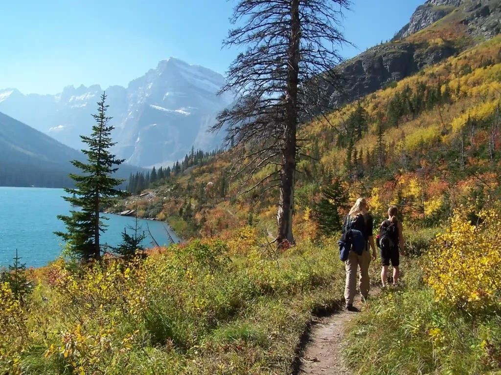 Camping Date Night Ideas: A Perfect Date for Spectacular Love 11 camping date night