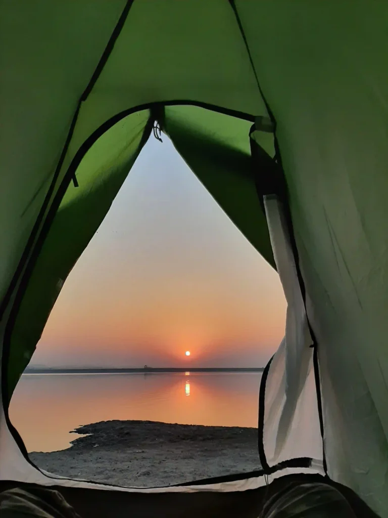 Camping Alone: What You Need to Know Before Going? 3 Camping with dog alone under the sky in the tent 3 20