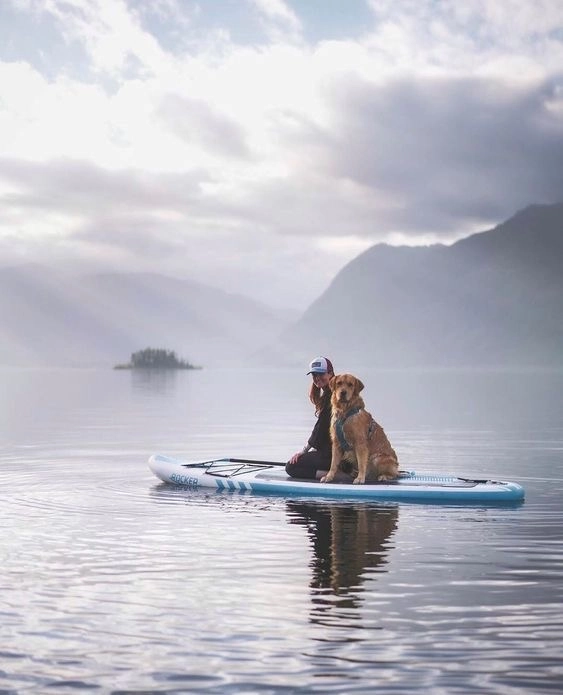The Ultimate Pet-Friendly Adventure Guide 4 women and a dog on a surf board